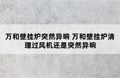 万和壁挂炉突然异响 万和壁挂炉清理过风机还是突然异响